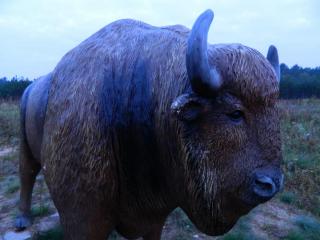 20110922082902.JPG