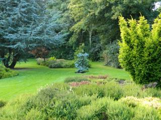 DSCN2968.JPG