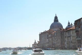 DSC_0344.JPG