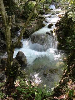 DSC04602.JPG