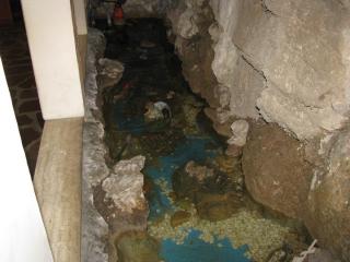 IMG_1234.JPG