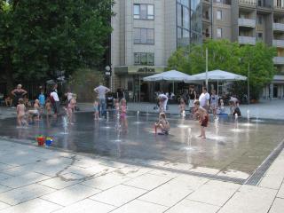 IMG_8648.JPG
