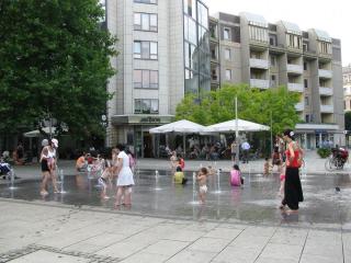 IMG_8629.JPG