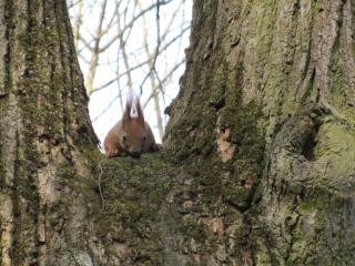 IMG_5502.JPG