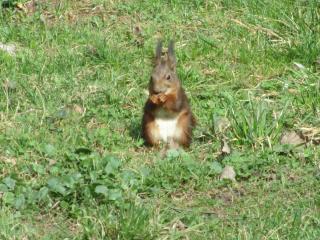 IMG_5530.JPG