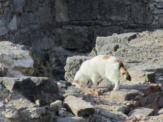 IMG_5847.JPG