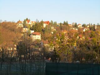 IMG_5463.JPG