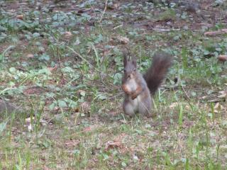 IMG_5518.JPG