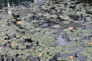 IMG_0589.JPG