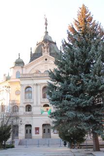 IMG_0431.JPG