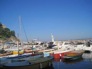 IMG_4043.JPG