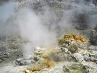 IMG_4503.JPG
