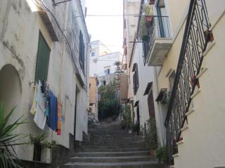 IMG_4049.JPG
