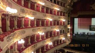 IMG_1131.JPG