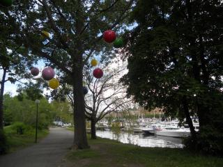 DSCN0647.jpg