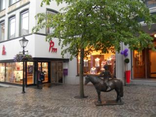 DSCN0960.jpg