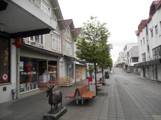 DSCN1080.jpg