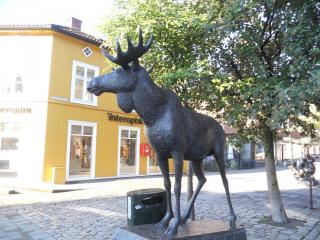 DSCN1378.jpg