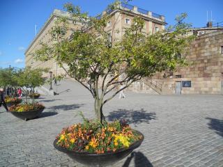 DSCN1443.jpg