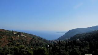 IMG_9403.JPG
