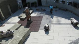 IMG_8841.JPG