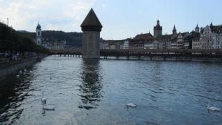 IMG_8630.JPG