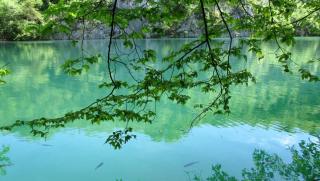 IMG_7406.JPG