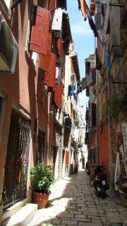 IMG_7790.JPG