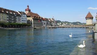 IMG_8698.JPG