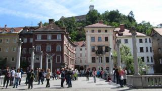 IMG_8130.JPG