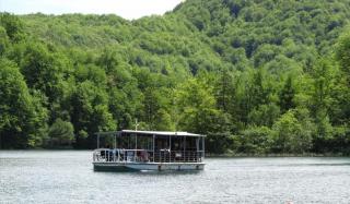 IMG_7460.JPG