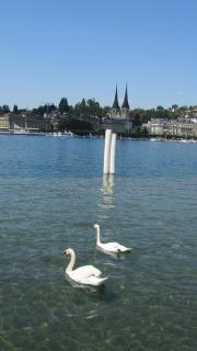 IMG_8627.JPG