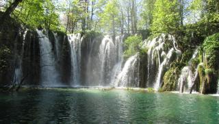 IMG_7505.JPG