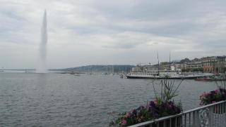 IMG_9037.JPG
