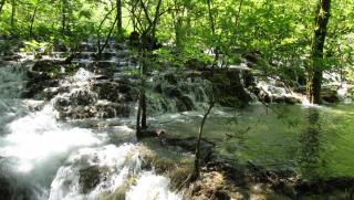 IMG_7497.JPG