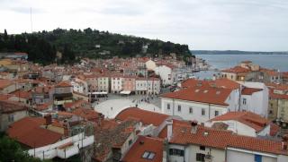 IMG_7907.JPG