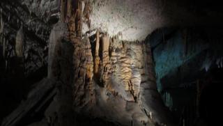 IMG_7953.JPG