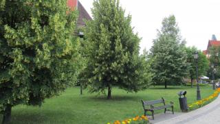 IMG_8373.JPG
