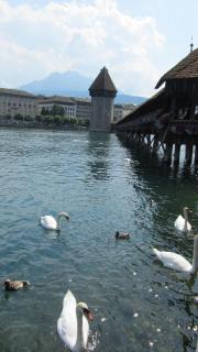 IMG_8650.JPG