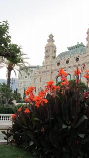IMG_9498.JPG