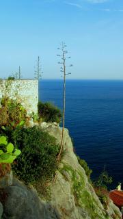 IMG_9245.JPG