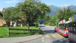 IMG_8547.JPG