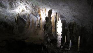 IMG_7954.JPG