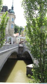 IMG_8186.JPG