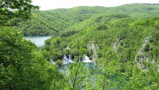 IMG_7446.JPG
