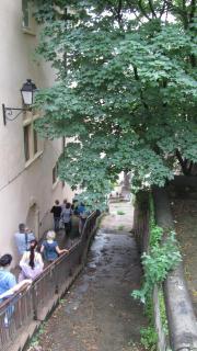 IMG_9137.JPG