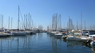 IMG_9333.JPG