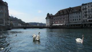 IMG_8703.JPG