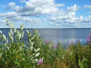 P1050068.JPG