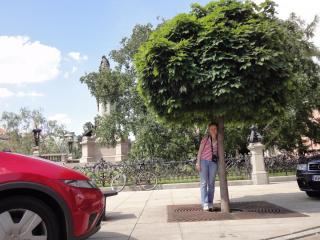 16-29-38-DSC02924.JPG